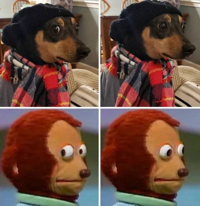 Funny Dogs (26 pics)