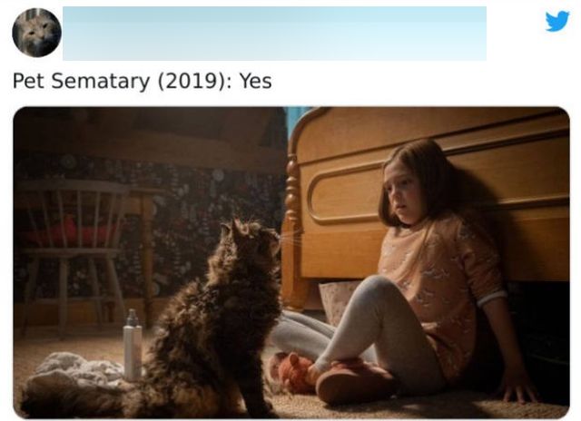 Cats That Have Been Spotted In Movies (30 pics)