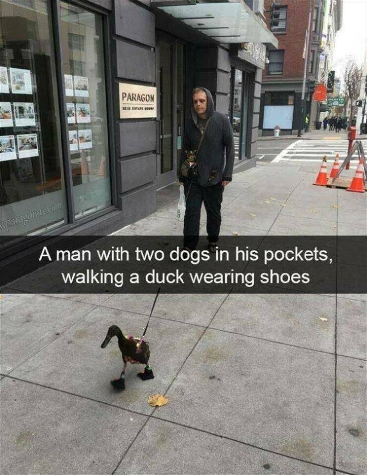 Daily Pictures. Part 1 (68 pics)
