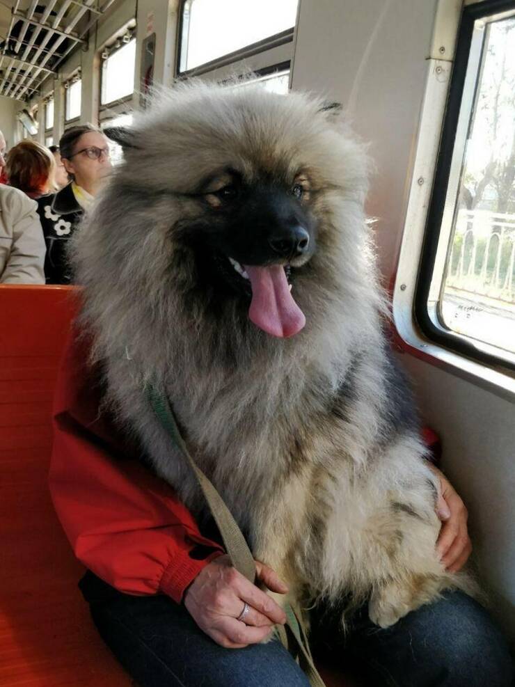 Daily Pictures. Part 2 (66 pics)
