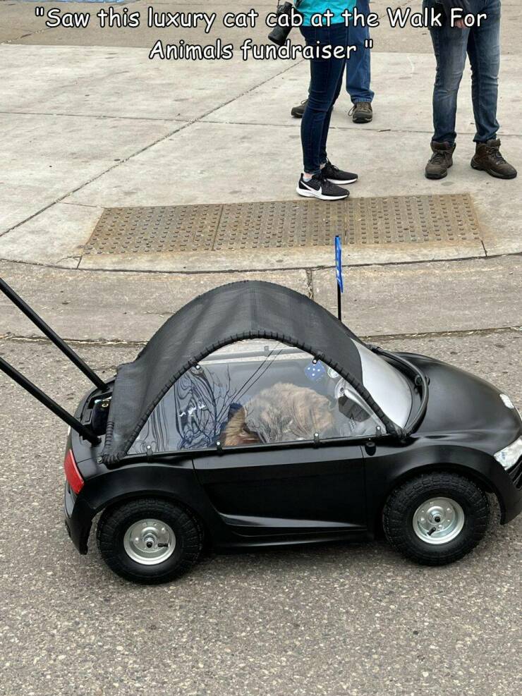 Daily Pictures. Part 2 (66 pics)