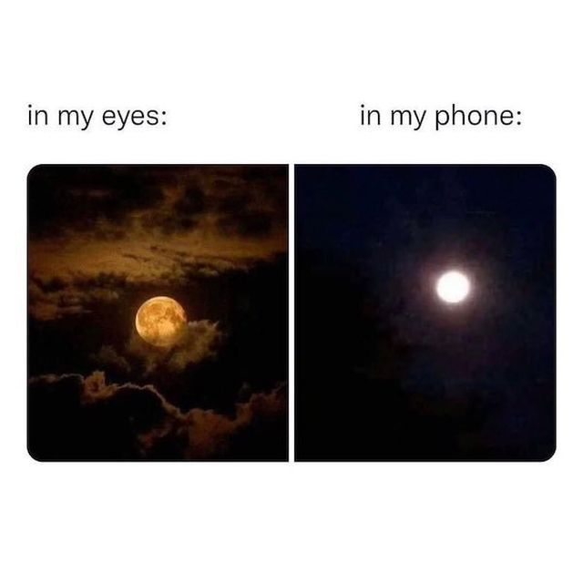 Sarcastic Memes (26 pics)