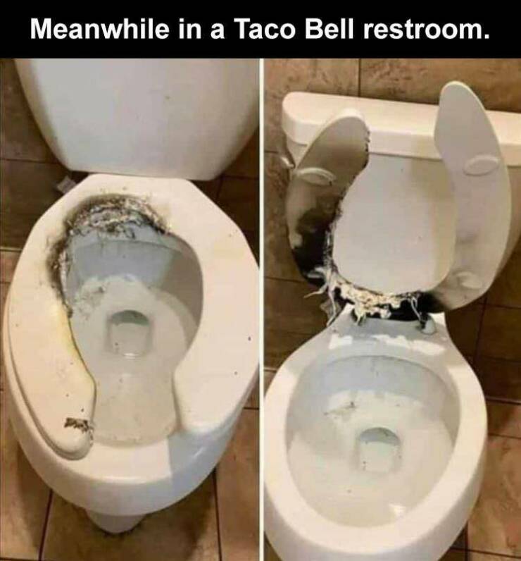 Daily Pictures. Part 2 (70 pics)