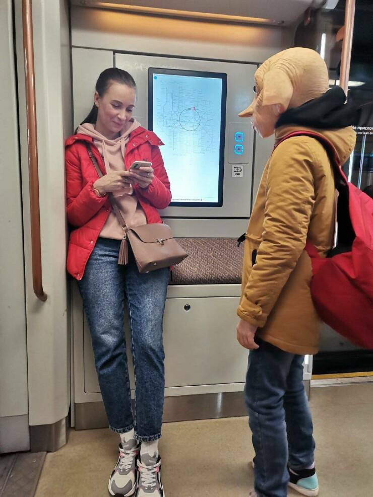 Daily Pictures. Part 1 (70 pics)