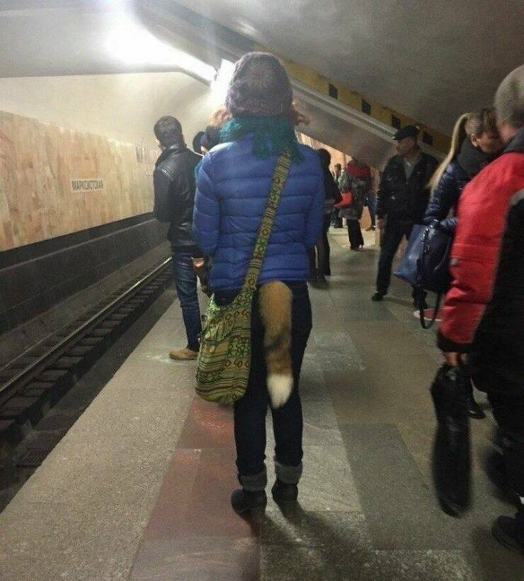 Daily Pictures. Part 1 (70 pics)