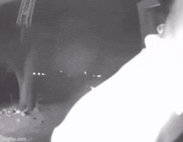Acid GIFs, May 18 (25 gifs)