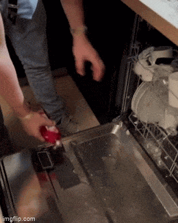 Acid GIFs, May 18 (25 gifs)