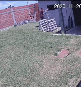 Acid GIFs, May 18 (25 gifs)