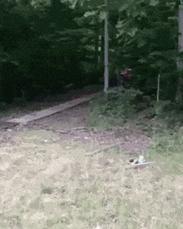 Acid GIFs, May 18 (25 gifs)