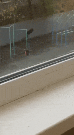 Acid GIFs, May 18 (25 gifs)