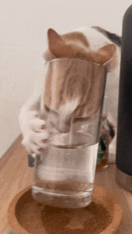 Acid GIFs, May 18 (25 gifs)