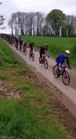Acid GIFs, May 19 (25 gifs)