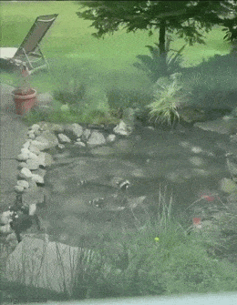 Acid GIFs, May 19 (25 gifs)