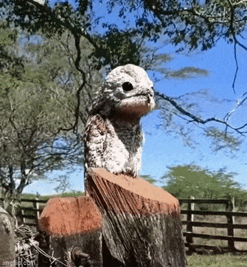 Acid GIFs, May 19 (25 gifs)