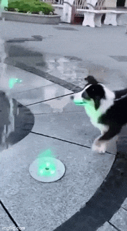 Acid GIFs, May 19 (25 gifs)