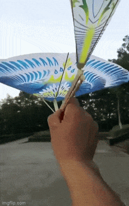 Acid GIFs, May 19 (25 gifs)