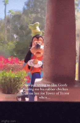 Acid GIFs, May 19 (25 gifs)