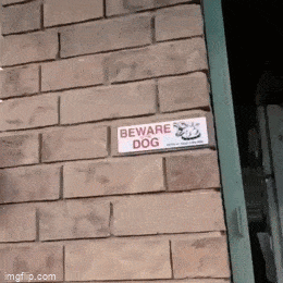 Acid GIFs, May 22 (25 gifs)