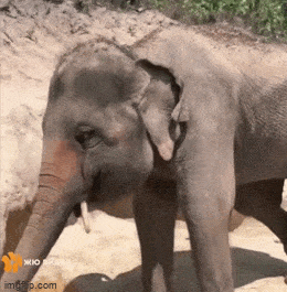 Acid GIFs, May 22 (25 gifs)