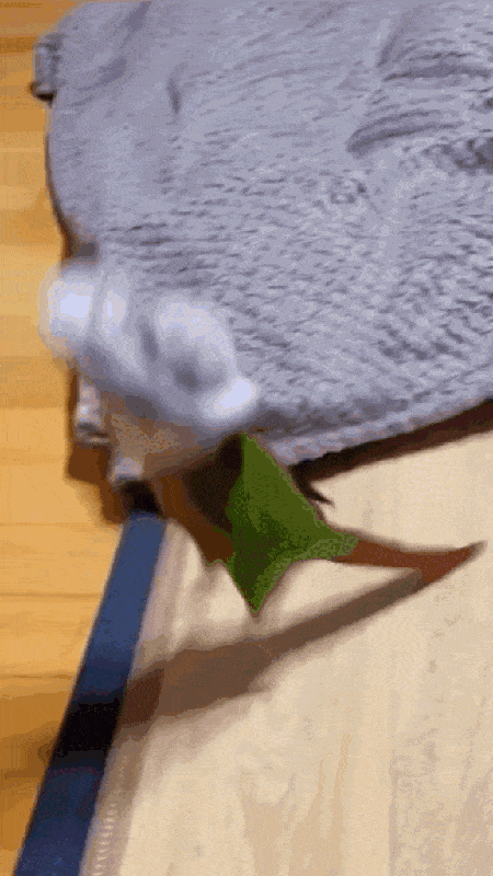 Acid GIFs, May 22 (25 gifs)