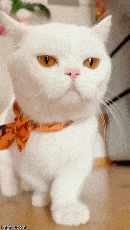 Acid GIFs, May 22 (25 gifs)