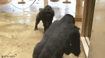 Acid GIFs, May 23 (25 gifs)