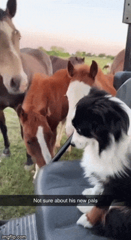 Acid GIFs, May 23 (25 gifs)