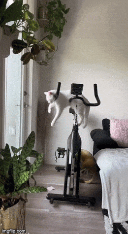 Acid GIFs, May 23 (25 gifs)