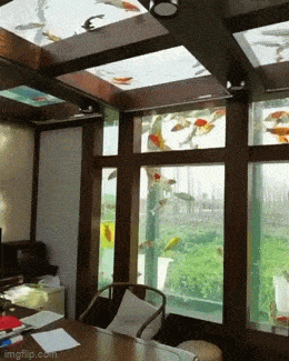 Acid GIFs, May 23 (25 gifs)