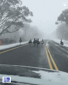 Acid GIFs, May 23 (25 gifs)