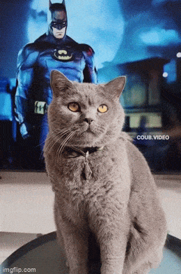 Acid GIFs, May 23 (25 gifs)