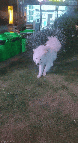 Acid GIFs, May 23 (25 gifs)
