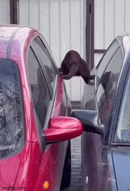 Acid GIFs, May 23 (25 gifs)