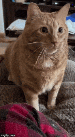 Acid GIFs, May 23 (25 gifs)
