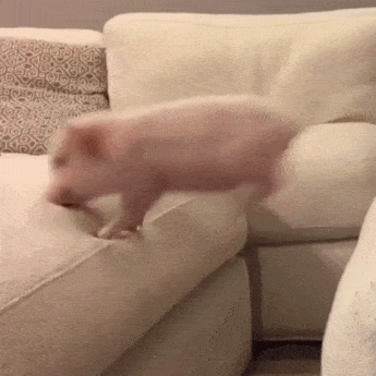 Acid GIFs, May 25 (25 gifs)