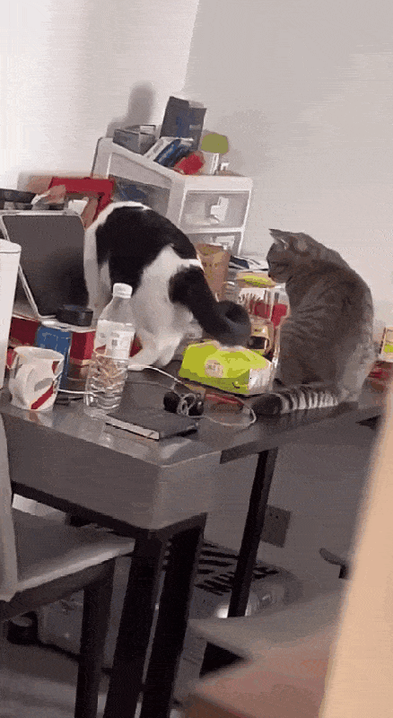 Acid GIFs, May 25 (25 gifs)