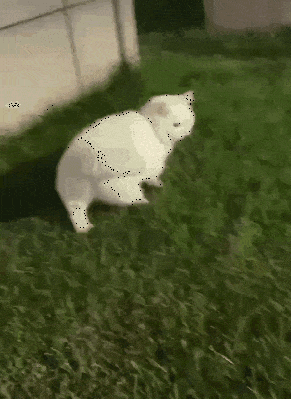 Acid GIFs, May 25 (25 gifs)
