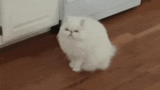Acid GIFs, May 25 (25 gifs)