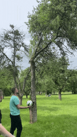 Acid GIFs, May 25 (25 gifs)