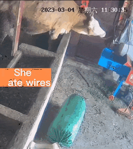 Acid GIFs, May 25 (25 gifs)