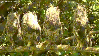 Acid GIFs, May 25 (25 gifs)