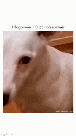 Acid GIFs, May 25 (25 gifs)