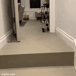 Acid GIFs, May 25 (25 gifs)