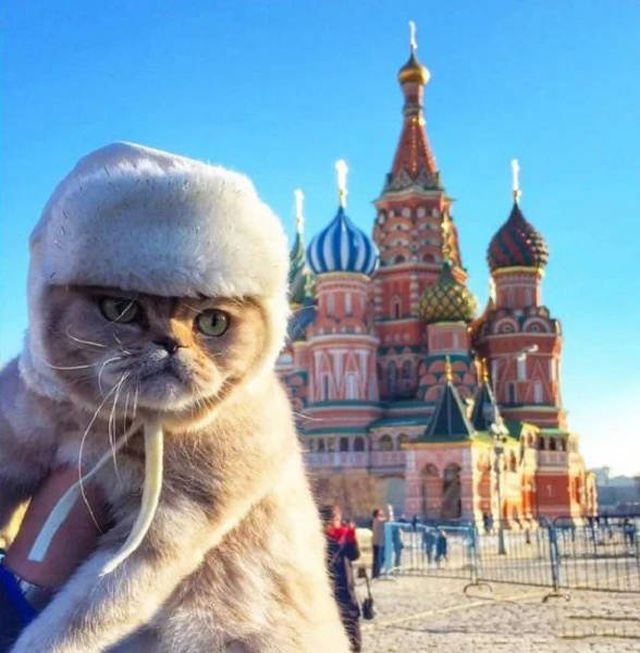 Strange Photos From Russia (42 pics)