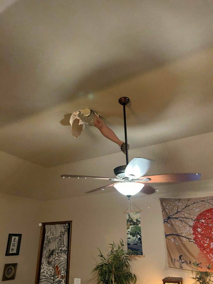 Daily Pictures. Part 1 (75 pics)