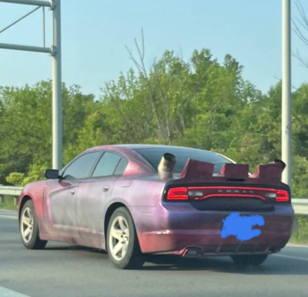 Daily Pictures. Part 1 (75 pics)