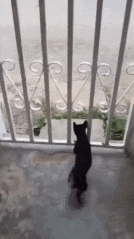 Acid GIFs, May 29 (25 gifs)