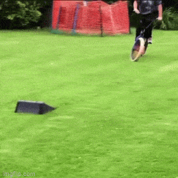 Acid GIFs, May 29 (25 gifs)