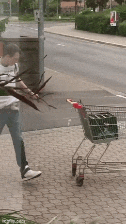 Acid GIFs, May 29 (25 gifs)