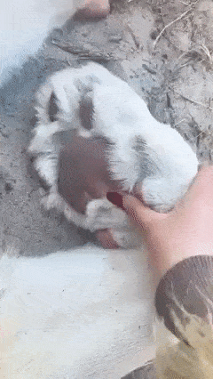 Acid GIFs, May 29 (25 gifs)